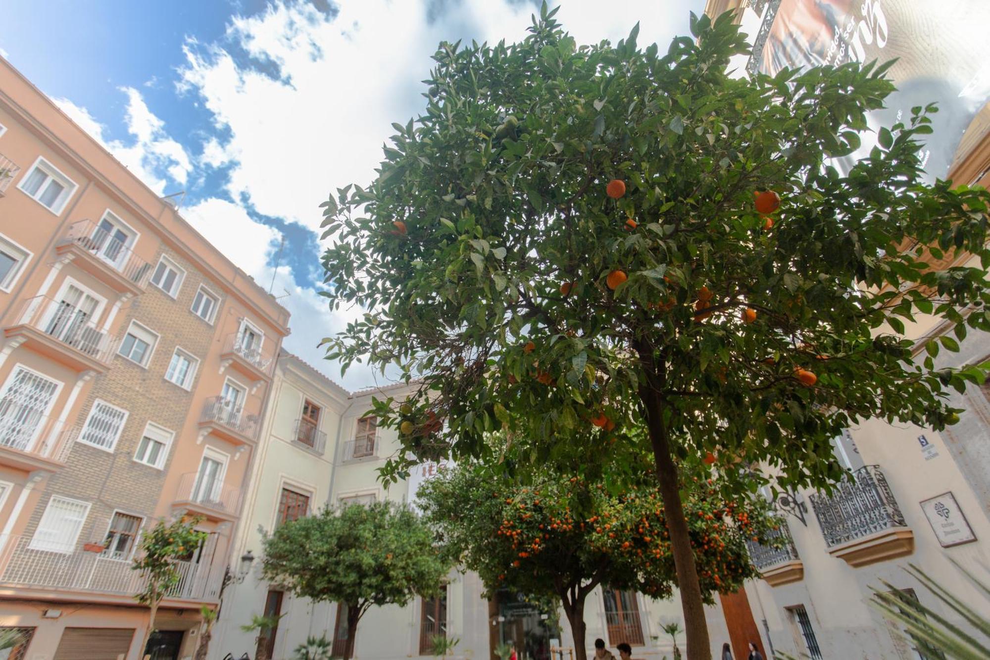 Vlc - Tranquilo Apartamento En Plaza Cisneros Valencia Eksteriør bilde